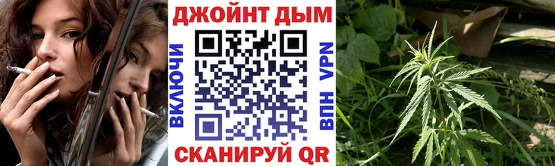 Шишки марихуана сатива  купить  сайты  Холм 